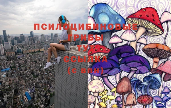 ешки Абаза