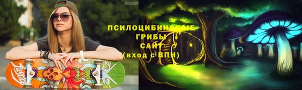 крисы Абдулино