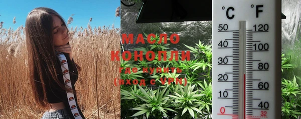 крисы Абдулино