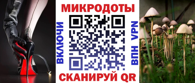 omg ТОР  Циолковский  Галлюциногенные грибы Psilocybe 