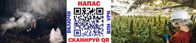 Марихуана сатива  наркота  Циолковский 